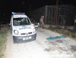 Bu Kurba�alar� Kime Yedirecekler?
