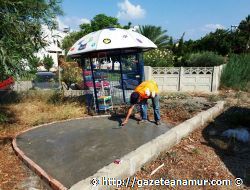 Sokak Hayvanlarnn Beslenme, Barnma ve Salk htiyalar Karlanyor