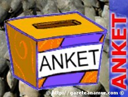 Yerel Seim Anketi