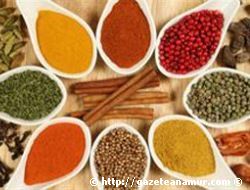 A�IKTA BAHARAT SATI�INA SINIRLAMA