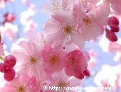 Son Cemre Bugn Dyor