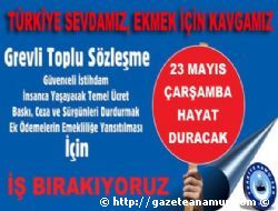 Trkiye Kamu-Sen i Brakyor
