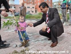 Her nsann Dikili Bir Aac Olsun Kampanyas Balatld