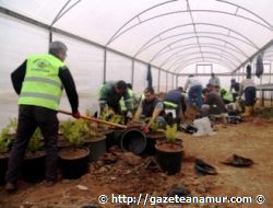 ERDEML'DE BELEDYE SERASINDA YOUN ALIMA