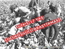 Çocuk İşgücü Anketi Sonuçları